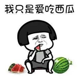 娱乐吃瓜君沙雕,揭秘娱乐圈那些沙雕趣事