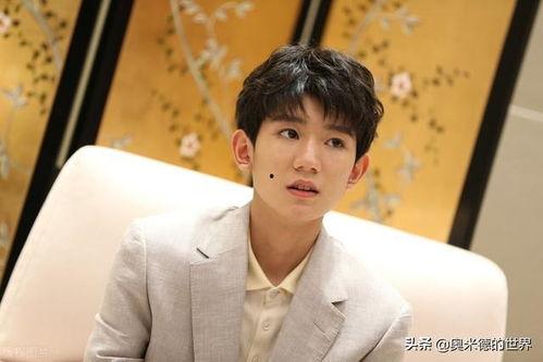 娱乐吃瓜猫白敬亭,娱乐吃瓜猫的甜蜜蜕变