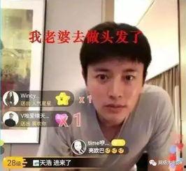 x吃瓜娱乐圈文,x的娱乐圈风云录