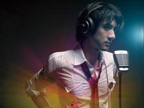 娱乐圈吃瓜王力宏