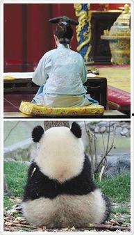 吃瓜群众说娱乐