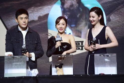 近期吃瓜汇总非娱乐圈,近期热门非娱乐圈事件大盘点