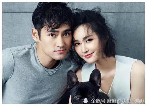 娱乐圈吃瓜大集合是谁,揭秘明星幕后故事