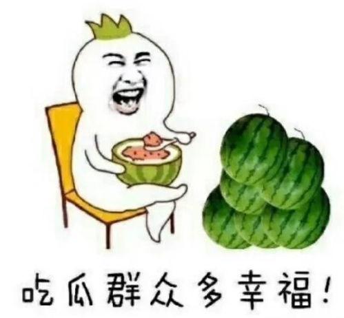 娱乐圈有什么瓜可以吃吗,揭秘明星幕后故事与热点事件
